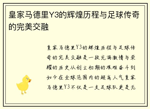 皇家马德里Y3的辉煌历程与足球传奇的完美交融